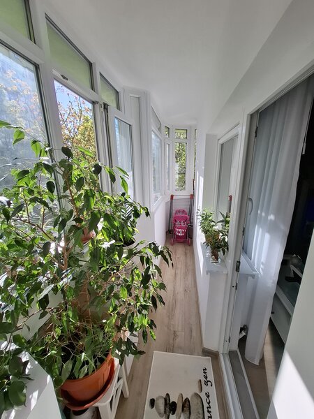 Colentina, Radovanu,